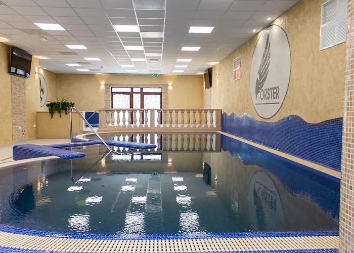 Forster Vadaszkastely Wellness Es Konferencia Szalloda